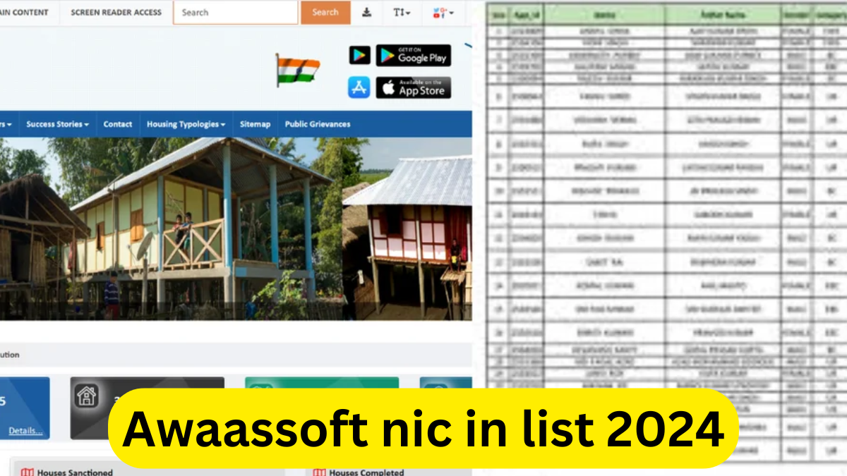 awaassoft nic in list